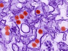 ����� ���� ������ �� ���������� ������, ������������� �����