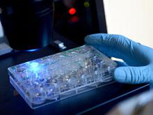 ��������� ������������� ������� �������� ��������� � ����