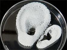   3D-,      