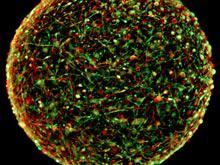 ������ ��������� ����������� ������ ��������� �����