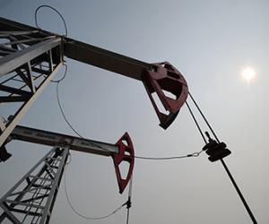 � ��������� ������� ���� �������� ����� �100���������