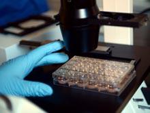 � ���� ��������� ������ ��������� ������ ������ ����