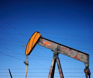 ���������� ������ �������� ���� ���������� ������ �����