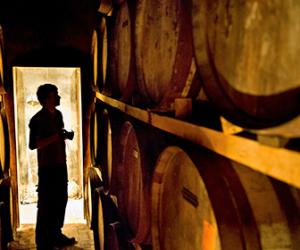 ������� ������� � ���� �������� �������