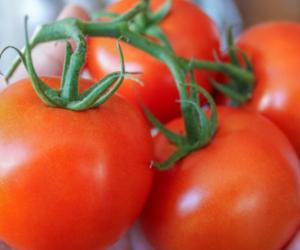 ������������� ������� ��������� �������� �������