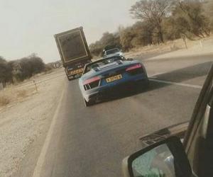 Audi R8      