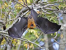 ������� ���� ���������, ��� �������� ����� �������� � ���� ��������