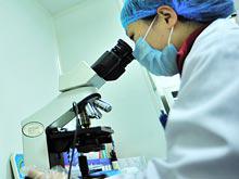 ��������� �������� ���� �������� ������������ ��������� �������������