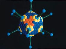 ��������, ��������, ����� ������������� ��������, ������������� ������