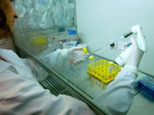 ������� ������ ������� ������� - ����� ������� �� ������ ��� ����������