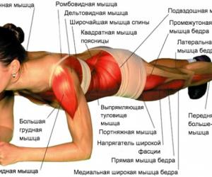 ��� ��� �����, ���� ������ ������ ������ ����