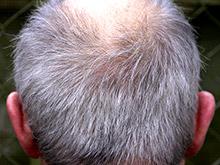 ������������� ������ ������������ ���������� ���, ���������� �� ��������� ����� �����