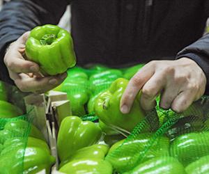 � ������ ���������� ��������� �������� �����