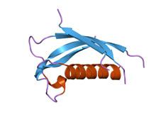 ��������� �������� ���������� ��������� ������ �������� ������