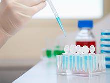 �������� ������������� ������ �������� �������� ��������� ����������� �������