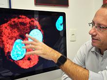 ����� ���� �������� ����������� � ��� �������� �����