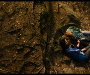      Young Audience Award 2016