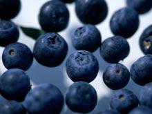 ����� ������� ������ �� �������� ���������, ������� �������������