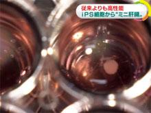 ������������� ������ ��������� ������ ��������� � ����������� ����������