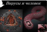    3D-  