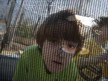 ������ ��������� ����������������� �����, �������� ������������