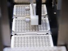 ������� � ����� ������ ������ ���� � ��������� ����� ���������� ��������������