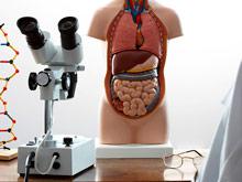 ������ ������, ��� ������������ ������������ ����� ������