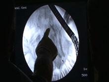 ������ �������� ����, ���������� ����������� � �� ������ ���������� �����������