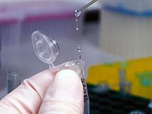 �������� ����� �� ������ � ������ ������� �������