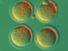 ����� ��� ��������� ������ �������������� ������������� � �������������� ��������