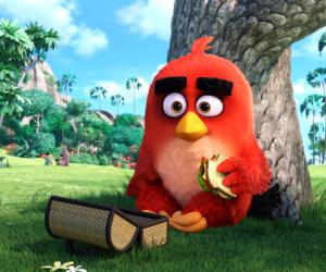 Angry Birds      
