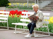 ������ ������� ���� ������ �������, �������� ������������