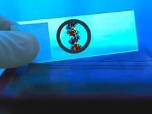 ��������: �������� �������� ���������� ���