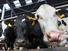 ���������� ������ �������� ����� ���������� ���������