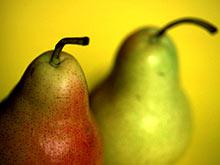 ���������� ������������ ���� ������� ��������