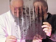 ���� ������ ����� �����������, ���������� ������