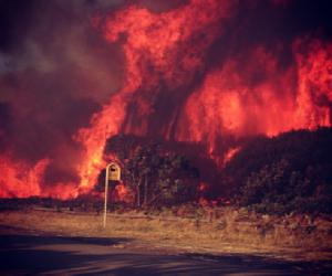 В Канаде из-за лесных пожаров загорелся аэропорт