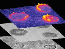 ��������: �������� ������ ���� ������ � ������� �����������