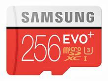 Samsung    microSD  256 