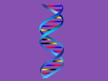 ������ ��������� � �������� �������������� ��������