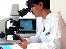 �������� ������ ��������� �� ������� ���������� ������