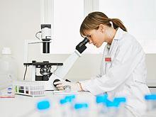 �������� ����������, ��� �������� ������� ������ - �������������