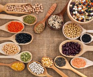 ������ ���������, ���������� �������� ����������