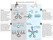 ��������� �������� ������ ������� �������� ���