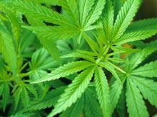 ��������� �������� ������� ������� � ������ ��������