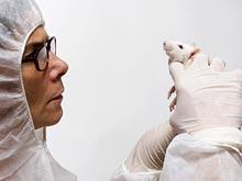 ������ ����� � ����� ������, ������� � �����������