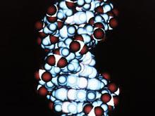 ������ ����� �����, ��������� ������������