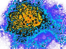 ������������� �������: �� ������� �������� �������