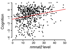 ������������� ������� ��������� �������� ������ ����� �� �������� � ��������