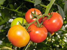 ������ � ������ ����� ����� ��������� ��������� ��� �����������